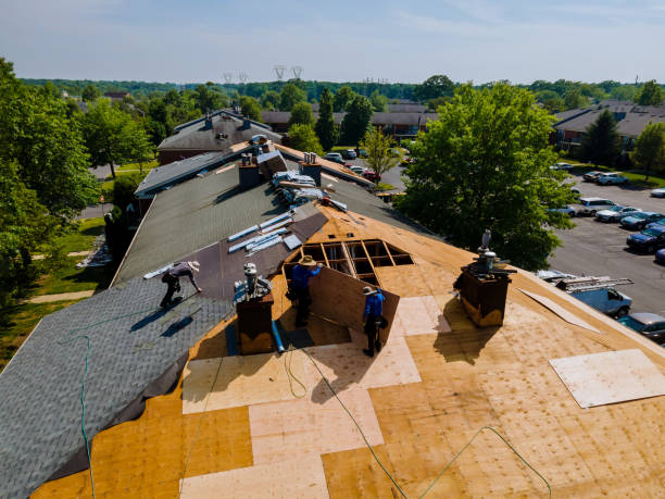 Roof Gutter Cleaning in Windsor, VA